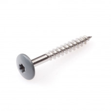 TRESPA SCHROEF RVS A2 TX20 RAL 7012 GRIJS 4,8X25