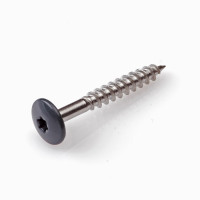 TRESPA SCHROEF RVS A2 TX20 RAL 7016 ANTRACIET 4,8X25