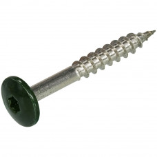 TRESPA SCHROEF RVS A2 TX20 RAL 6009 GROEN 4,8X38
