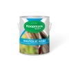 KOOPMANS HOUTOLIE AQUA BLANK 2,5 L