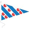 VLAG FRIESLAND 30 X 45 PUNT