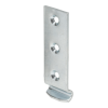 SLUITHAAK VOOR EIERKISTSLUITING GEGALVANISEERD 46X15 MM GEBOGEN