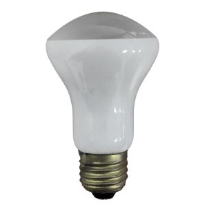 GLOEILAMP LEESLAMP 100W E27