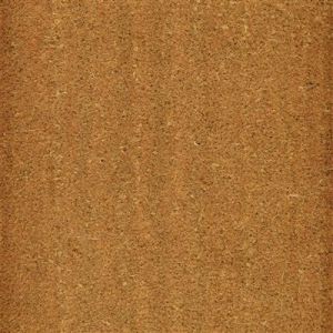 KOKOSMAT MET RUBBERPLAAT