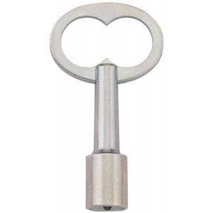 DOORNSLEUTEL DRIEKANT