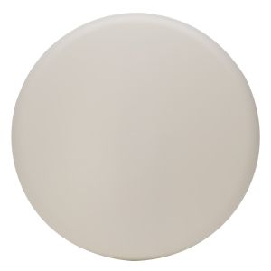 PLAFONDAFDEKPLAAT ROND WIT