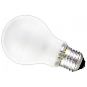 GLOEILAMP STANDAARD E27 40W MAT