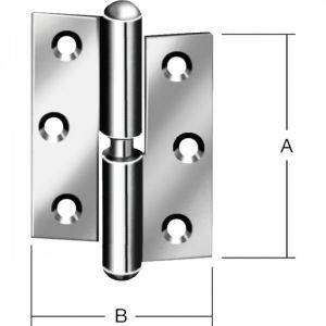 PAUMELLE VERNIKKELD 50X40