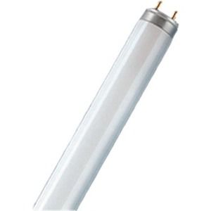 TL BUIS OSRAM LUMILUX SA 65W / 740SA*STRIP* COOL WHITE 150CM