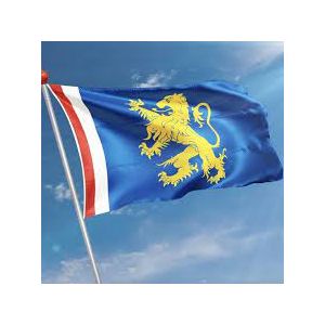 VLAG GEMEENTE LEEUWARDEN MET LEEUW 100X150CM
