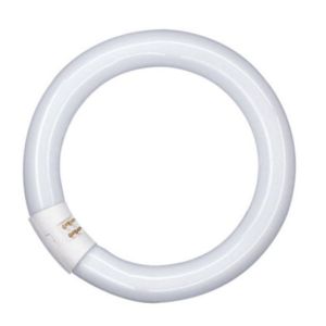 CIRKELVORMIGE LAMP TL BUIS OSRAM L22W/640C