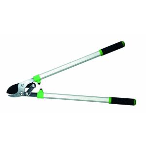 FREUND TAKSCHAAR  09-15-2 A