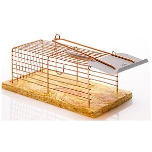 MUIZENVAL KOOI 180X96X65