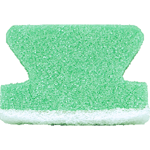 HG KEUKENSPONS (1ST) 1450