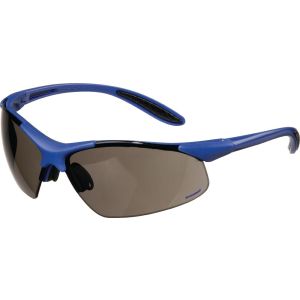 VEILIGHEIDSBRIL DAYLIGHT PREMIUM EN 166 BEUGEL DONKERBLAUW, RING SMOKE POLYCARBONAAT(NL+BE)