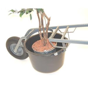 KUIPENKRUIER M.BOOMGAT