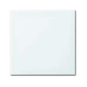 BUSCH JAEGER BALANCE WIT WIP VOOR WISSELSCHAKELAAR