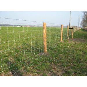 ZWAAR SCHAPENGAAS ZWAAR VERZINKT 100/9/15 P.ROL 50MTR