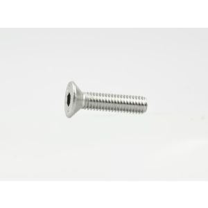 BINNENZESKANTBOUT PLATKOP DIN 7991 A2 M16 X 30