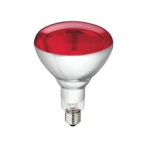 GLOEILAMP WARMTELAMP 250 WATT INFRAROOD ROOD SPATWATERDICHT